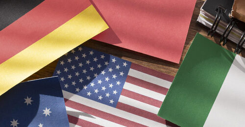 Lengua extranjera profesional