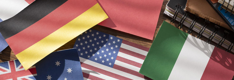 Lengua extranjera profesional