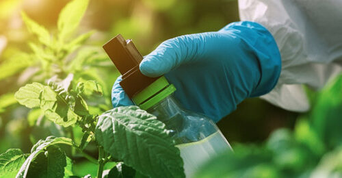 Aplicación de biocidas en plantas