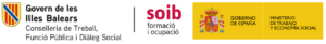 LOGO 2026 SOIB